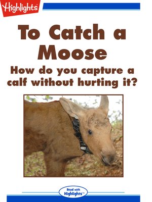 cover image of To Catch a Moose